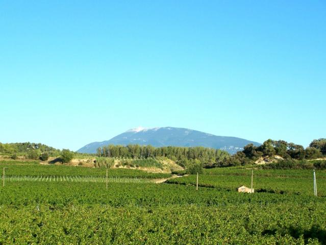 Location vacances VAISON LA ROMAINE - photo n°3 annonce C0708400