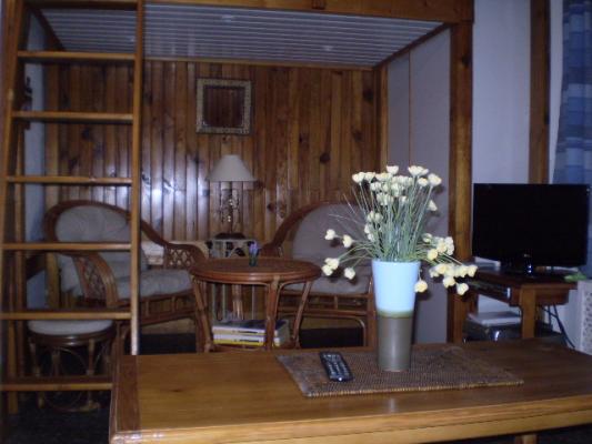 Photo n°3 location Appartement de vacances à FONT ROMEU (annonce réf. M1316600)