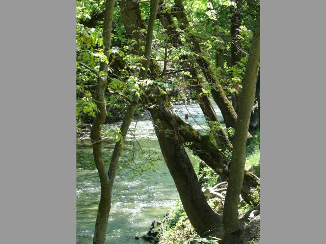 paysage environnant