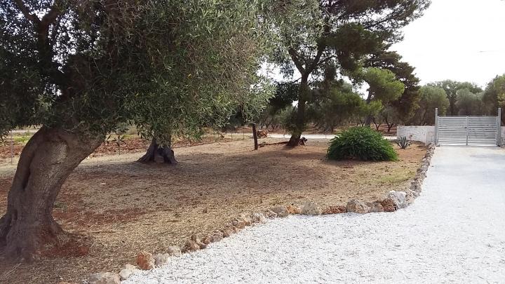 Photo n°9 location Villa de vacances à CAROVIGNO (annonce réf. P1719903)