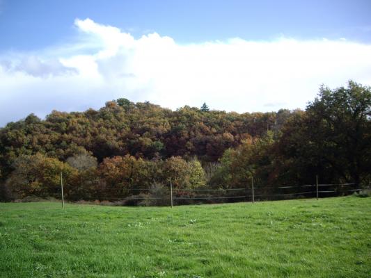 Location vacances CHÂTEAU GUIBERT - photo n°8 annonce C1028500