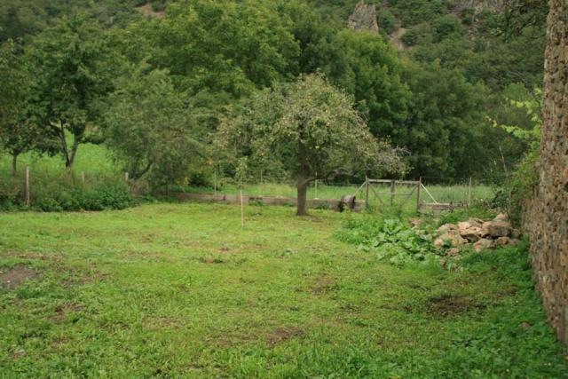 jardin