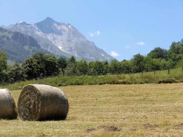photo n°7