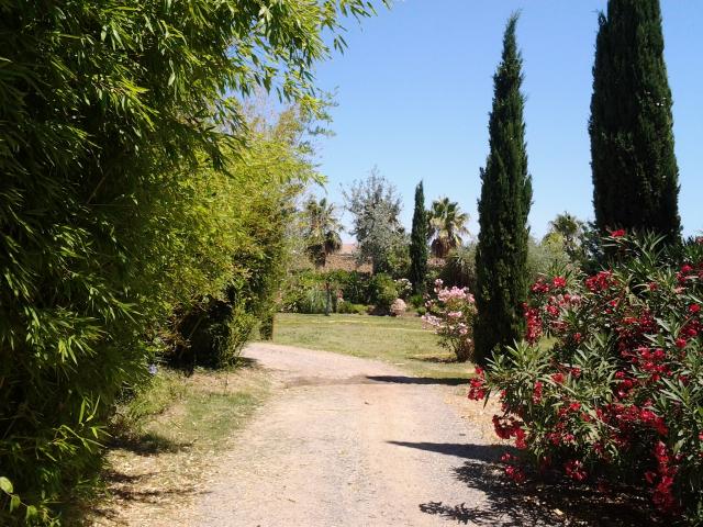 Location vacances COGOLIN - photo n°12 annonce P1228300