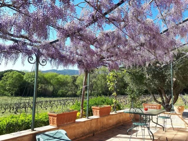 Location vacances GRIMAUD - photo n°12 annonce P1628301