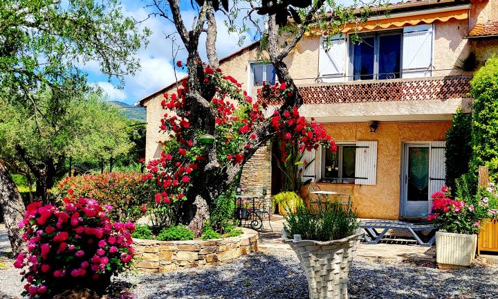 vue sur la forêt