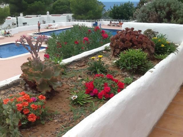 Location vacances EIVISSA - photo n°5 annonce P2329901