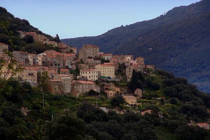 Location vacances OLMETO - photo n°2 annonce P2822000