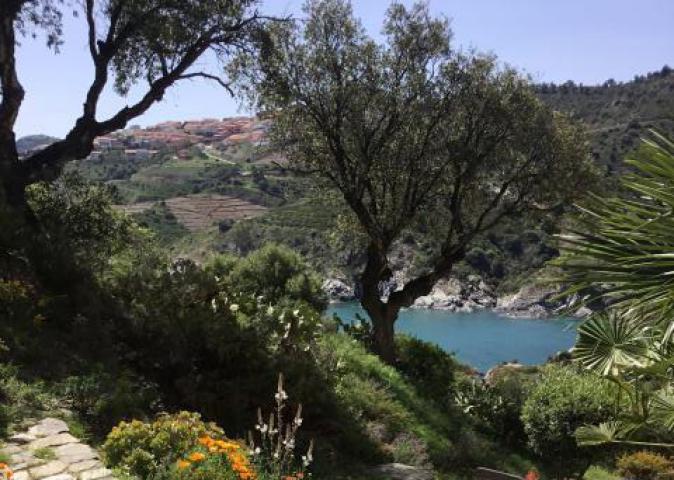Location vacances CERBÈRE (Mer méditerranée)
