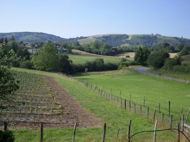 Location vacances AINHOA - photo n°1 annonce C1836400