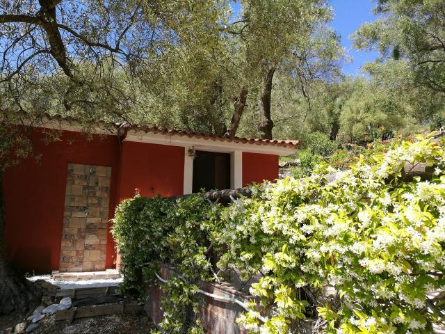 Location vacances PISCIOTTA - photo n°10 annonce P1239901
