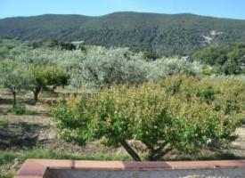 Location vacances NYONS - photo n°4 annonce C0952600