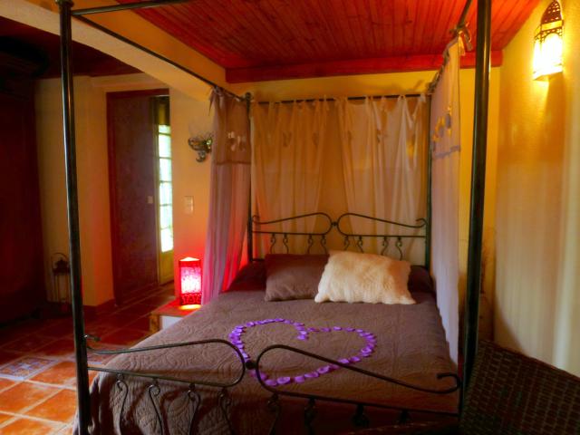 Location vacances DIONS - photo n°8 annonce C1653000