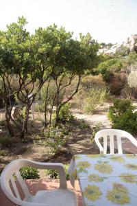 Location vacances TRINITÀ D'AGULTU E VIGNOLA - photo n°5 annonce P0859900