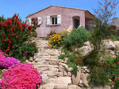 Location vacances PORTO VECCHIO - photo n°1 annonce P0952000