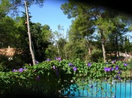 Photo n°1 location Villa de vacances à PRADES LE LEZ (annonce réf. P1053400)