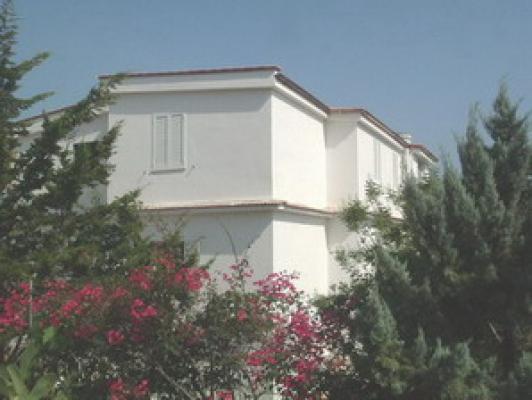 Location vacances VIESTE - photo n°1 annonce P1259901