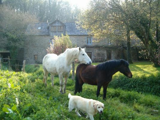 photo n°2