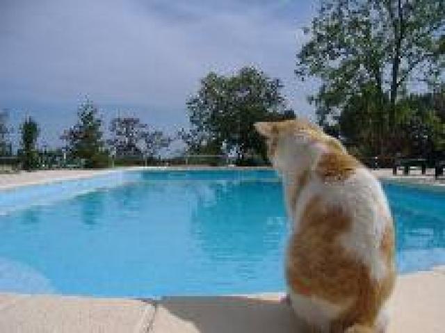 Location vacances GALLICIAN - photo n°2 annonce C1763000