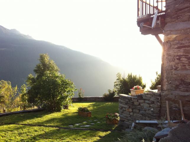 jardin