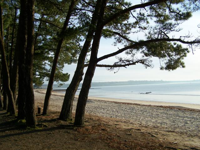 Location vacances FOUESNANT - photo n°9 annonce P0862902