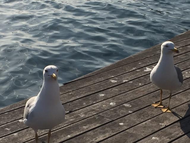 Location vacances GUIDEL - photo n°12 annonce P2065600