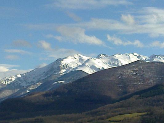 Location vacances BUZAN - photo n°7 annonce M1270900