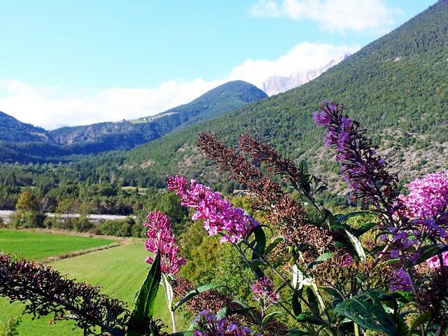 Location vacances MONTMAUR - photo n°10 annonce M1670500