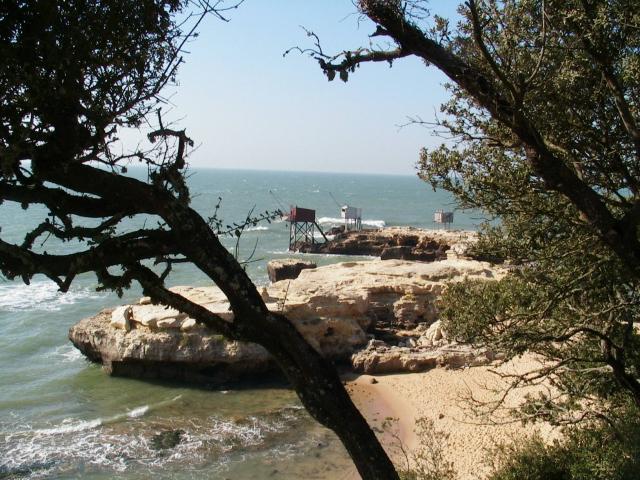 photo n°8