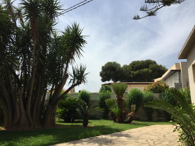 Location vacances BENICARLO - photo n°8 annonce P0979900