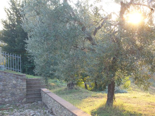 Location vacances MONTESPERTOLI - photo n°10 annonce C0989900