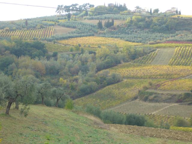 Location vacances MONTESPERTOLI - photo n°12 annonce C0989900