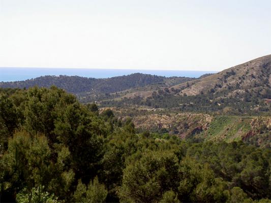 Location vacances FINESTRAT - photo n°4 annonce C1299900