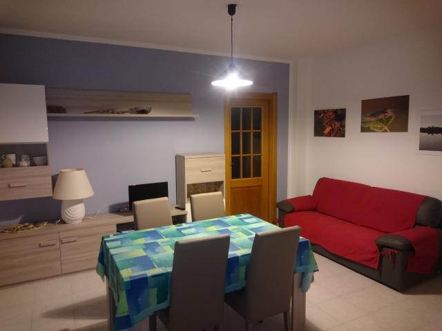 photo n°8