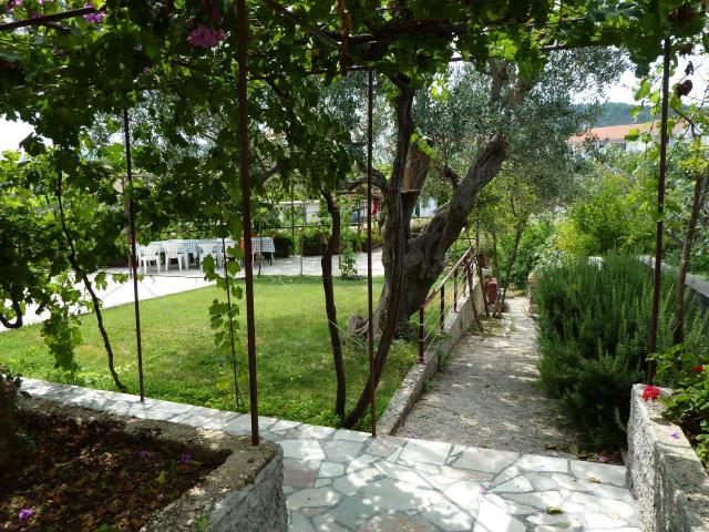 Photo n°4 location Appartement de vacances à TROGIR-SLATINE (annonce réf. P0999904)