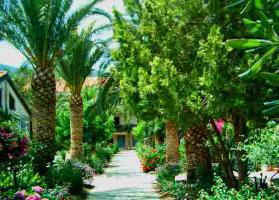 Location vacances OLIVERI - photo n°5 annonce P0999913