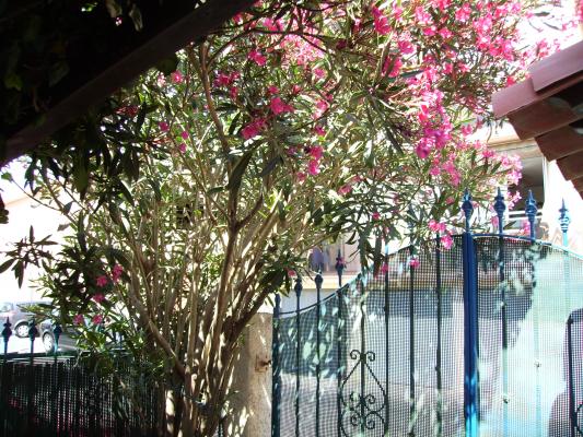 Location vacances VALRAS PLAGE - photo n°1 annonce P1493400