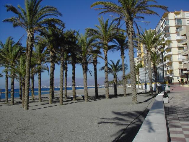 Location vacances TORRENUEVA - photo n°10 annonce P2199901