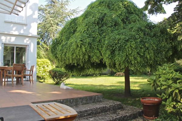 Photo n°3 location Villa de vacances à NOGENT SUR MARNE (annonce réf. V1499400)